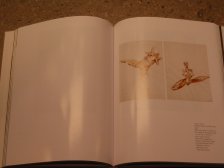 beuys224.JPG