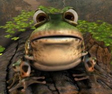 tinyToad.jpg