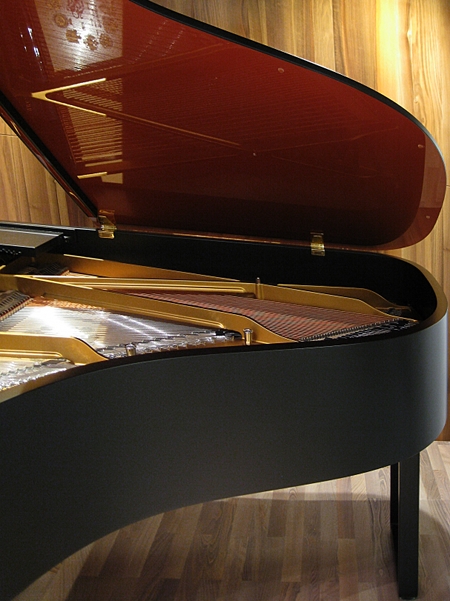 annettesteinway450.jpg